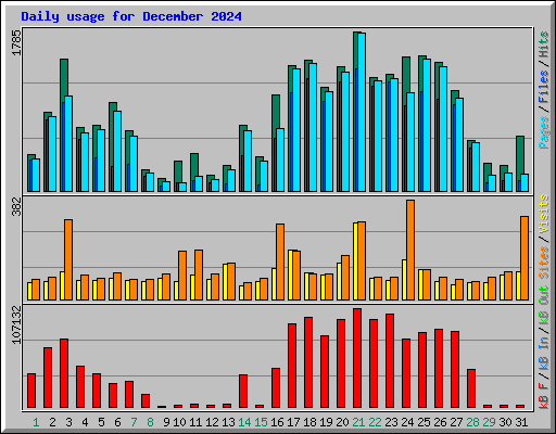 Daily usage for December 2024