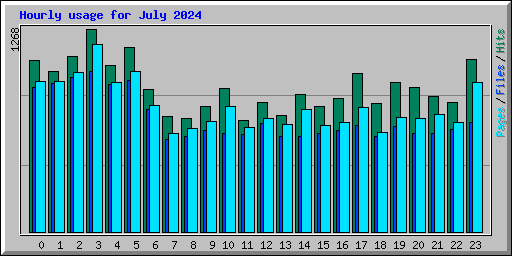 Hourly usage for July 2024