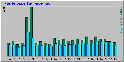 Hourly usage for August 2024