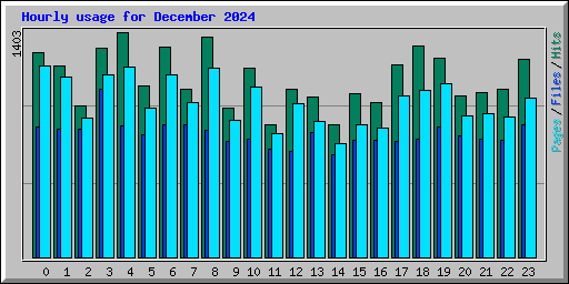 Hourly usage for December 2024