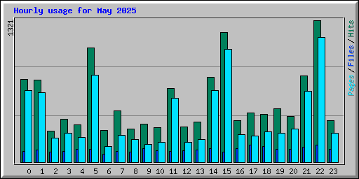 Hourly usage for May 2025