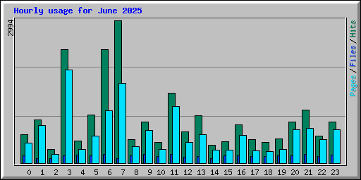Hourly usage for June 2025