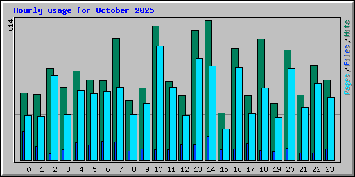 Hourly usage for October 2025