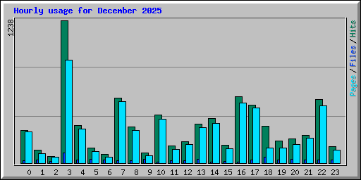Hourly usage for December 2025