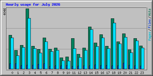 Hourly usage for July 2026