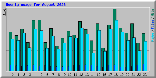 Hourly usage for August 2026