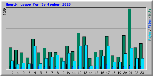 Hourly usage for September 2026