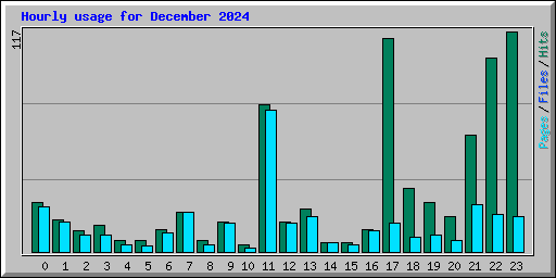 Hourly usage for December 2024