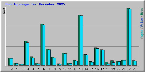 Hourly usage for December 2025