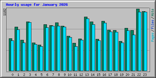 Hourly usage for January 2026